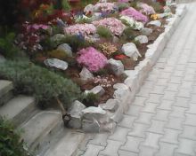 IMG0041B