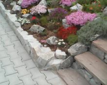 IMG0043A