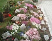 IMG0048A