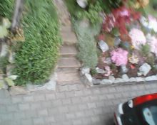 IMG0052A