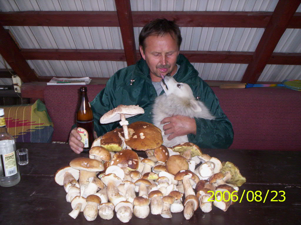 moje huby 004.jpg
